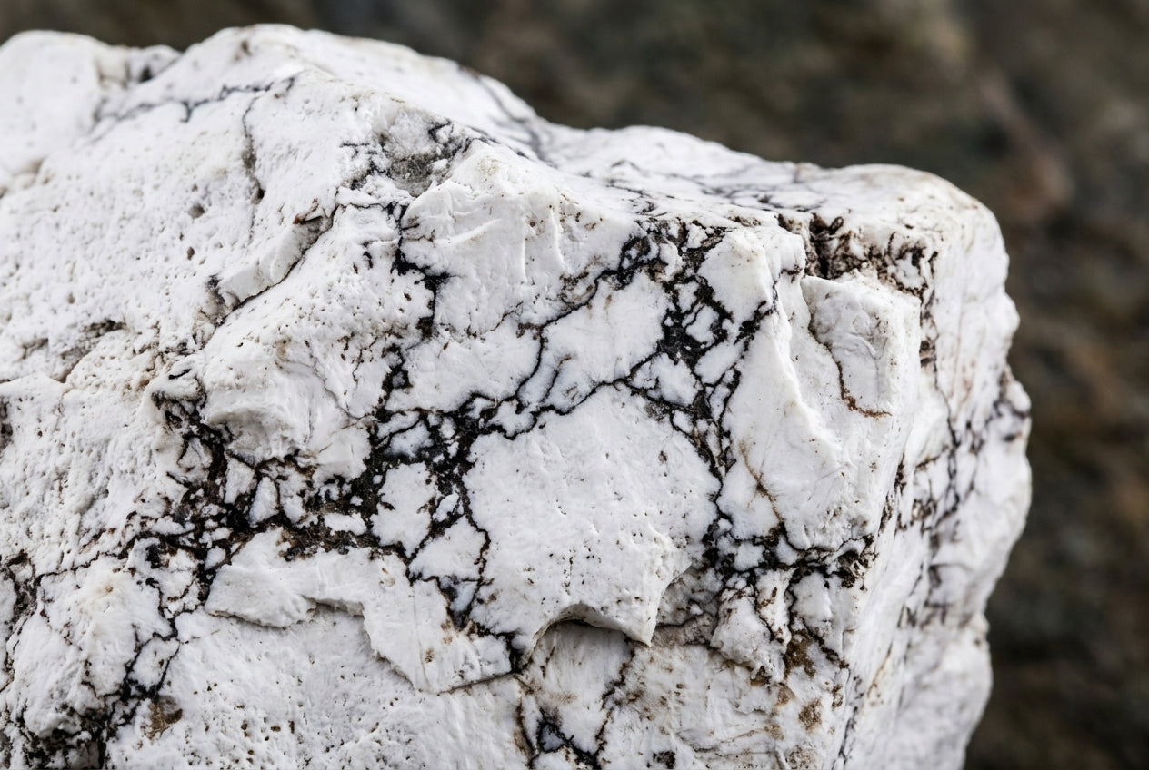 Howlite: Meaning, Properties, and Healing Uses of the Calming White Stone