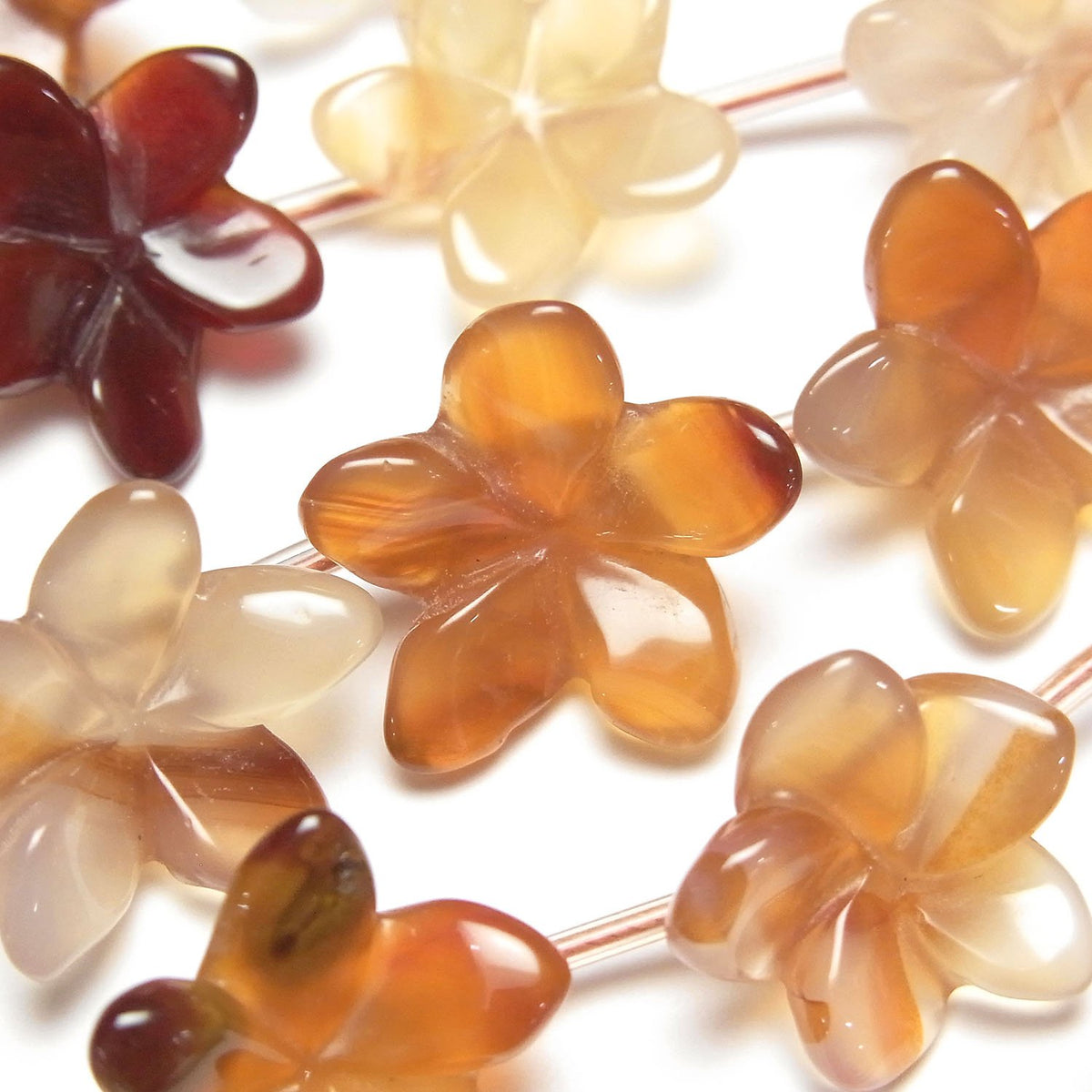 Fleur de Cornaline Mixte, 1 fil de perles (env. 36 cm/15 pouces)