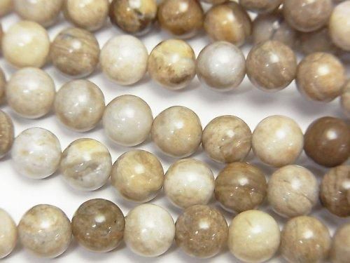 Silver Leaf Jasper Round 6mm 1strand beads (aprx.15inch/38cm)