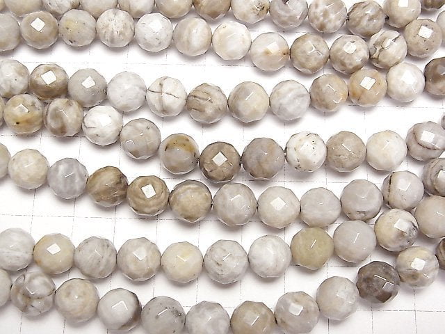 Silberblatt-Jaspis 64 facettierte runde 10mm halb oder 1strang Perlen (ca. 15 Zoll / 37 cm)