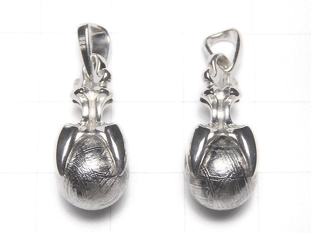 Meteorite (Muonionalusta) Pendant with 10mm ball Silver 925
