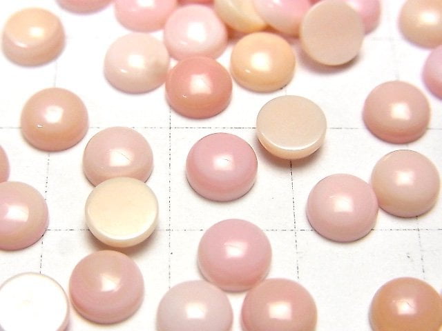 Königin Conch Muschel AAA Runde Cabochon 6x6mm 3Stk