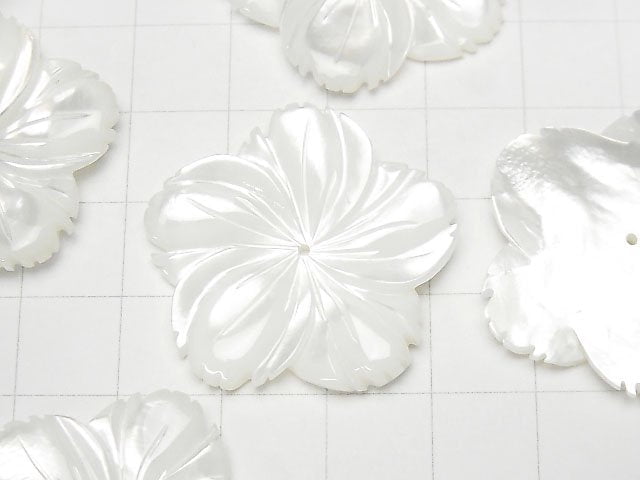 Hochwertige weiße Muschel (Silberlippen-Auster) AAA Blume 30mm Mittelbohrung 1 Stück