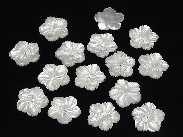 Hochwertige weiße Muschel (Silberlippen-Auster) AAA Blume 30mm Mittelbohrung 1 Stück