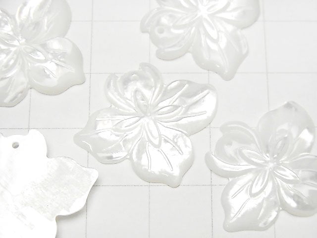 Hochwertige weiße Muschel Blume 21x24x3mm 1 Stück