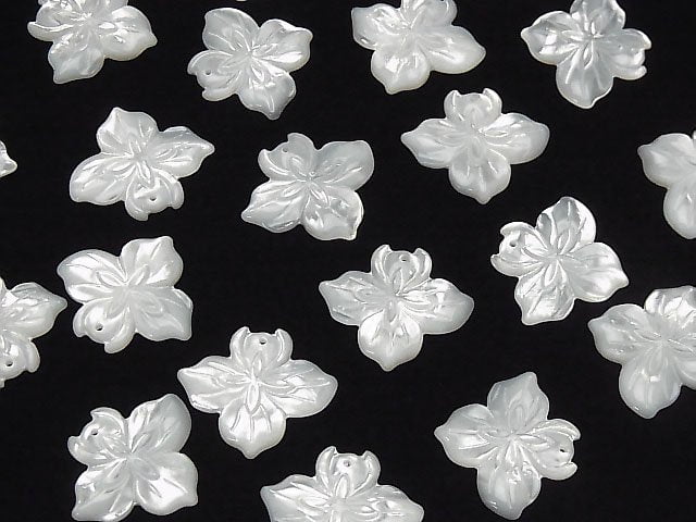 Hochwertige weiße Muschel Blume 21x24x3mm 1 Stück