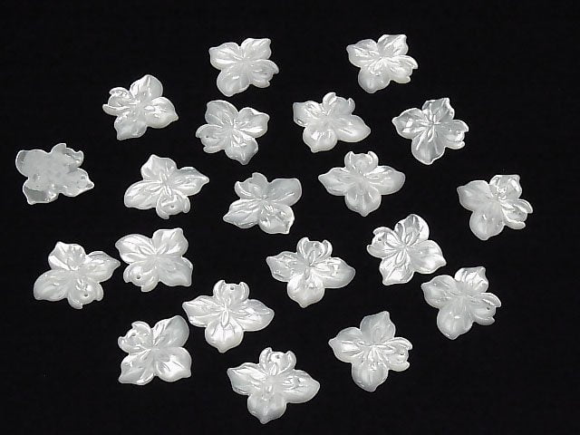 Hochwertige weiße Muschel Blume 21x24x3mm 1 Stück