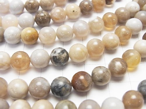 1strand $6.79! Ocean Fossil Agate Round 8mm 1strand beads (aprx.15inch / 38cm)