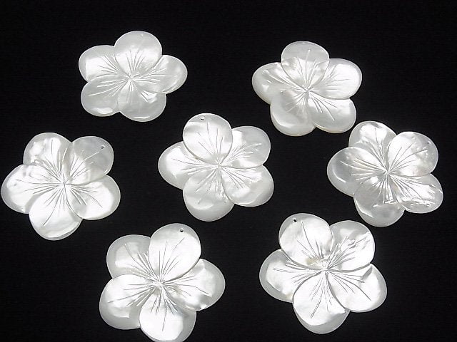 Hochwertige weiße Muschel AAA Blume 38mm 1Stück 5,79 $!