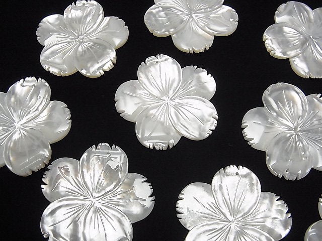 Hochwertige weiße Muschel AAA Blume 40mm 1 Stück 5,79 $!