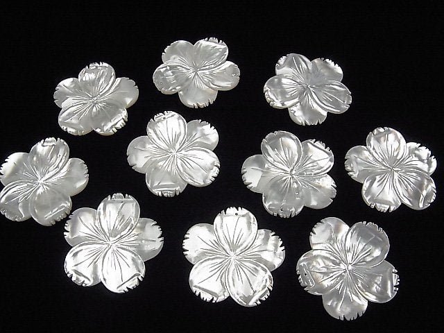 Hochwertige weiße Muschel AAA Blume 40mm 1 Stück 5,79 $!
