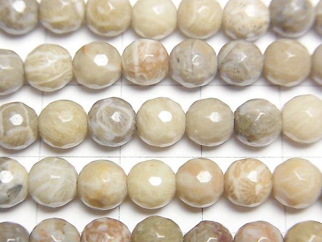 Fossilkoralle 128 facettierte Runde 6 mm halb oder 1 Strang Perlen (ca. 15 Zoll / 37 cm)