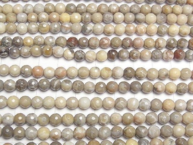 Fossilkoralle 128 facettierte Runde 6 mm halb oder 1 Strang Perlen (ca. 15 Zoll / 37 cm)
