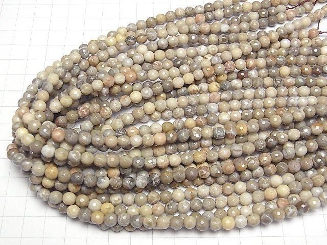 Fossilkoralle 128 facettierte Runde 6 mm halb oder 1 Strang Perlen (ca. 15 Zoll / 37 cm)