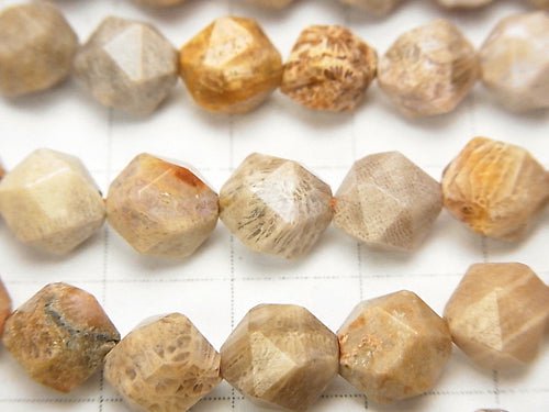 Fossil Coral 24Faceted Round 8mm 1strand beads (aprx.15inch/36cm)