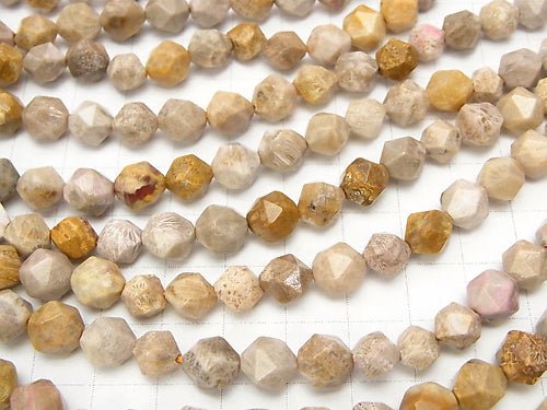 Fossil Coral 24Faceted Round 8mm 1strand beads (aprx.15inch/36cm)