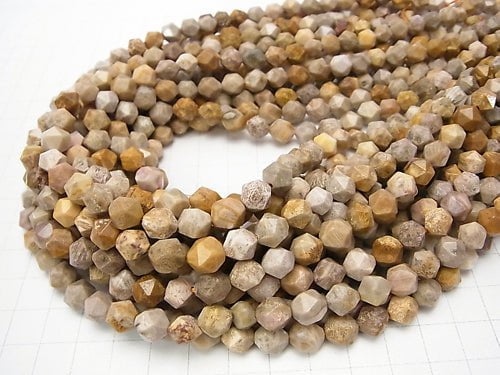 Fossil Coral 24Faceted Round 8mm 1strand beads (aprx.15inch/36cm)