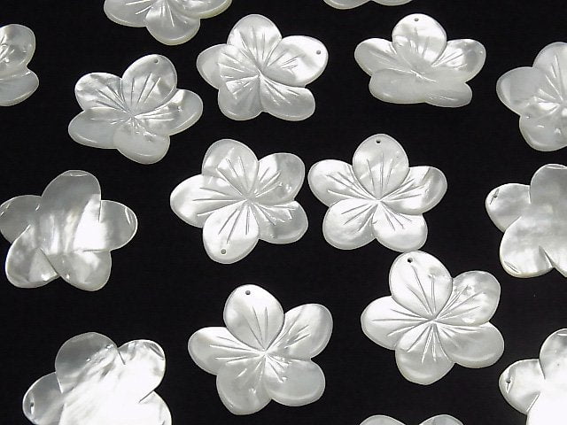 Hochwertige Weiße Muschel (Silberlippen-Auster) AAA Blume 27 mm 1 Stück $4.79!