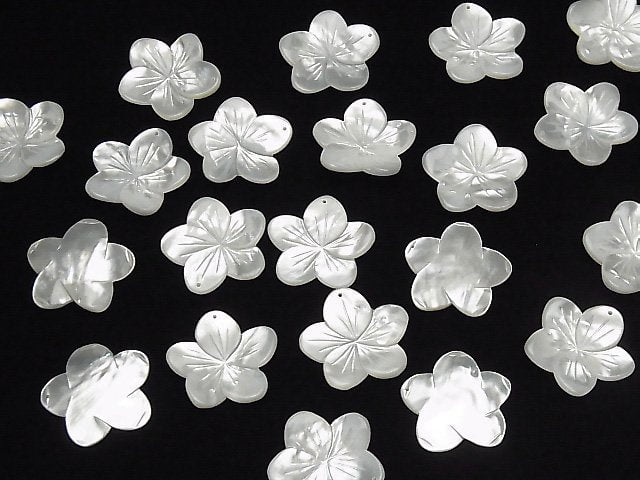 Hochwertige Weiße Muschel (Silberlippen-Auster) AAA Blume 27 mm 1 Stück $4.79!