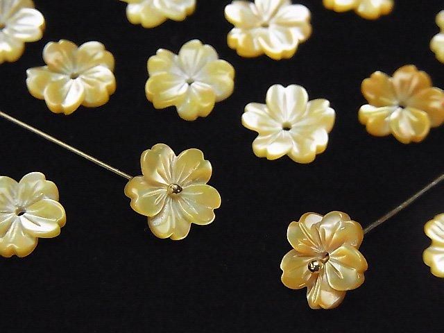 Hochwertige gelbe Muschel AAA Blume 10mm mit Mittelbohrung 4Stück