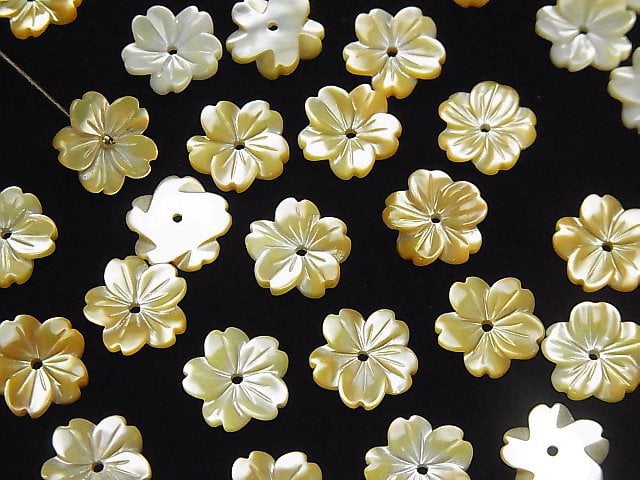 Hochwertige gelbe Muschel AAA Blume 10mm mit Mittelbohrung 4Stück