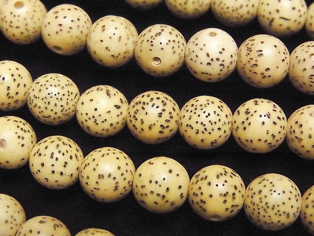 菩提子串珠 圓形 (半圓形) 8毫米 1串珠子 (約15英寸/37厘米)