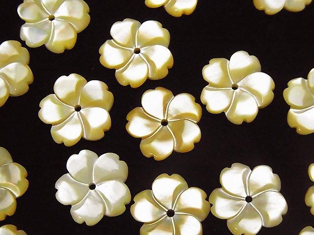 Hochwertige gelbe Muschel AAA Blume 12mm Mittelbohrung 3Stk