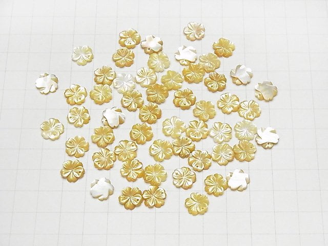 Hochwertige gelbe Muschel AAA Blume 10 mm 4 Stück