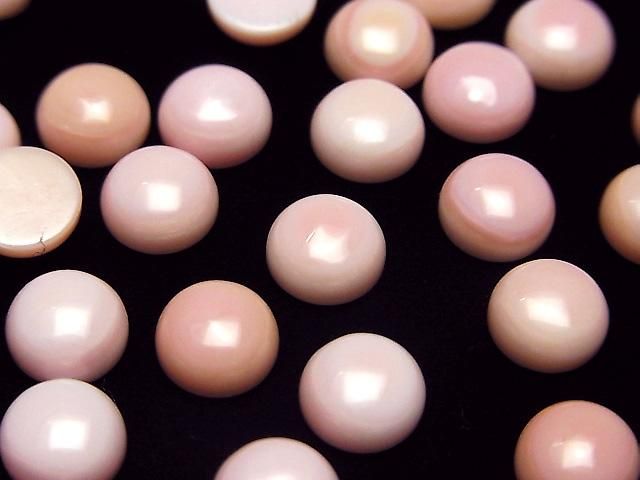 Königin Conch Muschel AAA Runde Cabochon 8x8mm 3 Stk