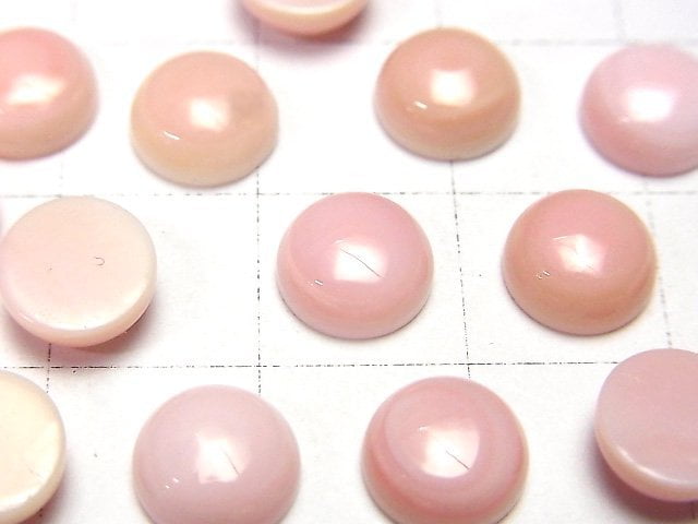 Königin Conch Muschel AAA Runde Cabochon 8x8mm 3 Stk
