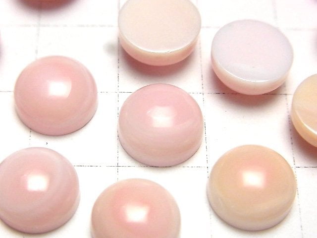 Königin Conch Muschel AAA Runde Cabochon 10x10x4mm 3 Stk