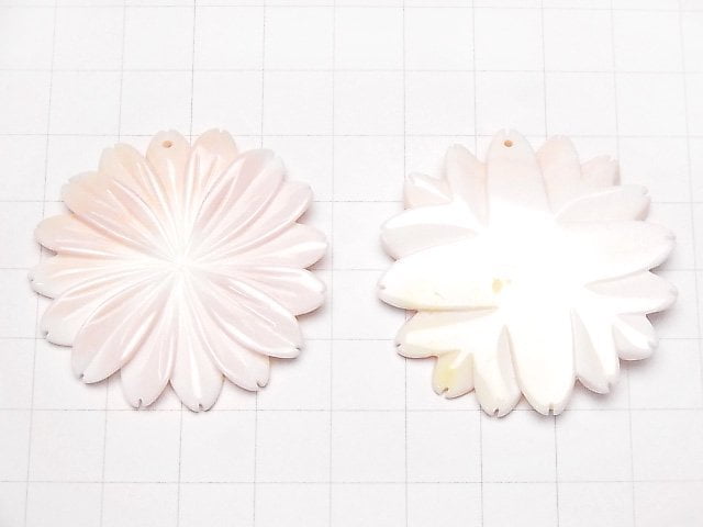 Königin Conch-Schale AAA Margaret (Blume) 40mm 1 Stück 9,79 $!