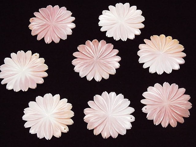 Königin Conch-Schale AAA Margaret (Blume) 40mm 1 Stück 9,79 $!