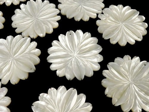 Hochwertige weiße Muschel AAA Marguerite (Blume) 40mm 1 Stück