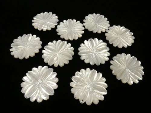 Hochwertige weiße Muschel AAA Marguerite (Blume) 40mm 1 Stück