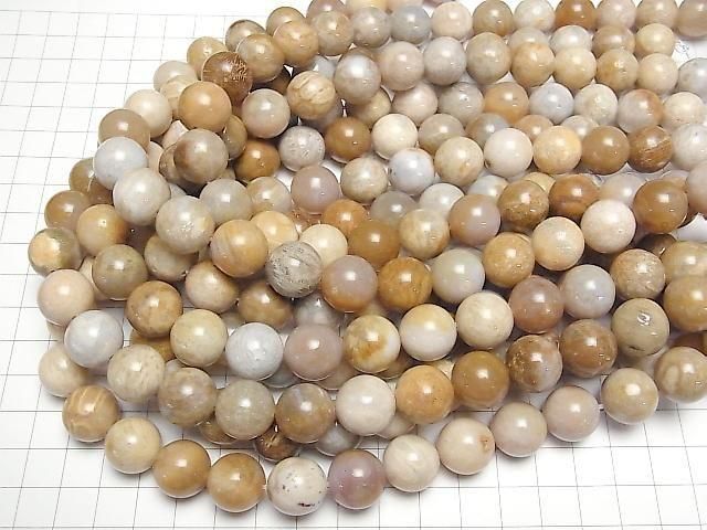 Fossilkoralle Runde 14mm halb oder 1 Strang Perlen (ca. 15 Zoll/36 cm)