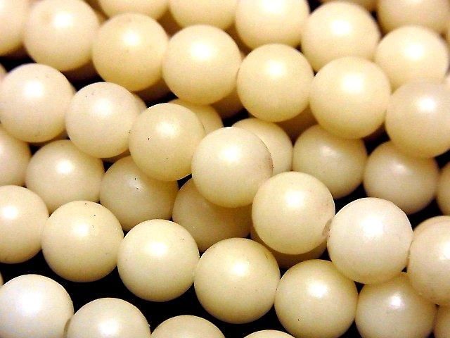 Palm Tree Semi Round 8mm 1strand beads (aprx.15inch/36cm)