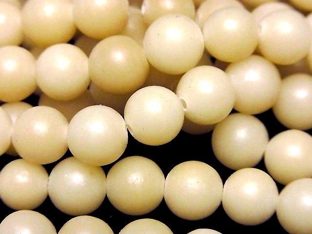 Palm Tree Semi Round 10mm 1strand beads (aprx.15inch/37cm)