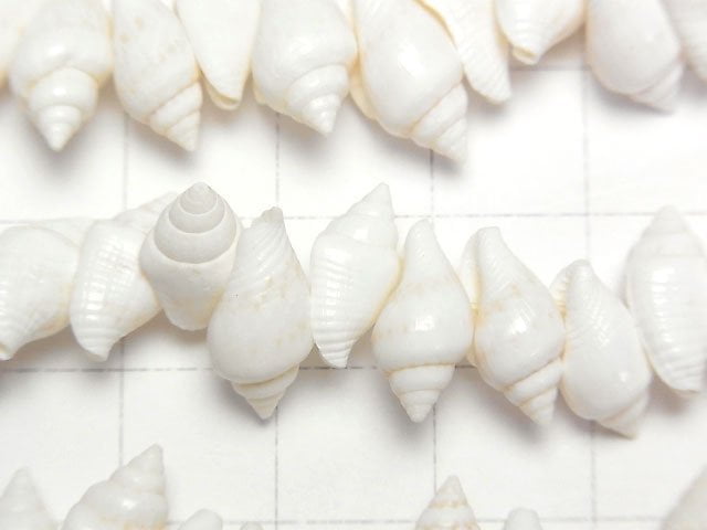 Conch Perlen 1Strang Perlen (ca. 15 Zoll / 38 cm)
