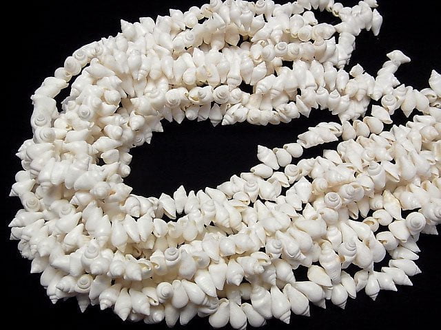 Conch Perlen 1Strang Perlen (ca. 15 Zoll / 38 cm)