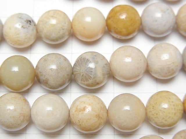 Fossilkoralle Rund 8mm 1strang Perlen (ca. 15 Zoll / 37 cm)