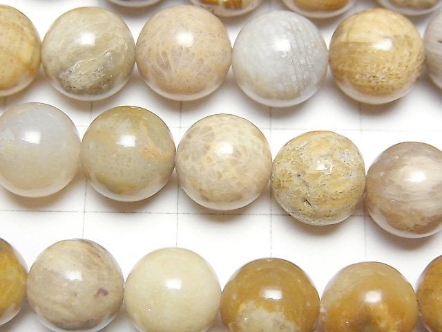 Fossilkoralle Rund 10mm 1strang Perlen (ca. 15 Zoll / 37 cm)