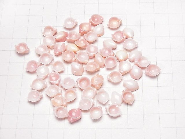 Königin Conchenschale AAA Blume (Blütenblatt) 10x8mm 2Stk