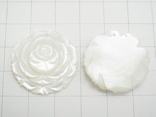 Weiße Muschel (Silberlippen-Auster) AAA Rose 25 mm 1 Stück $7.79