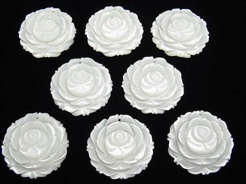 Weiße Muschel (Silberlippen-Auster) AAA Rose 25 mm 1 Stück $7.79