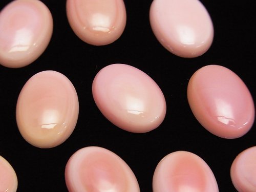 High Quality Queen Conch Shell AAA Oval Cabochon 16x12mm 1pc