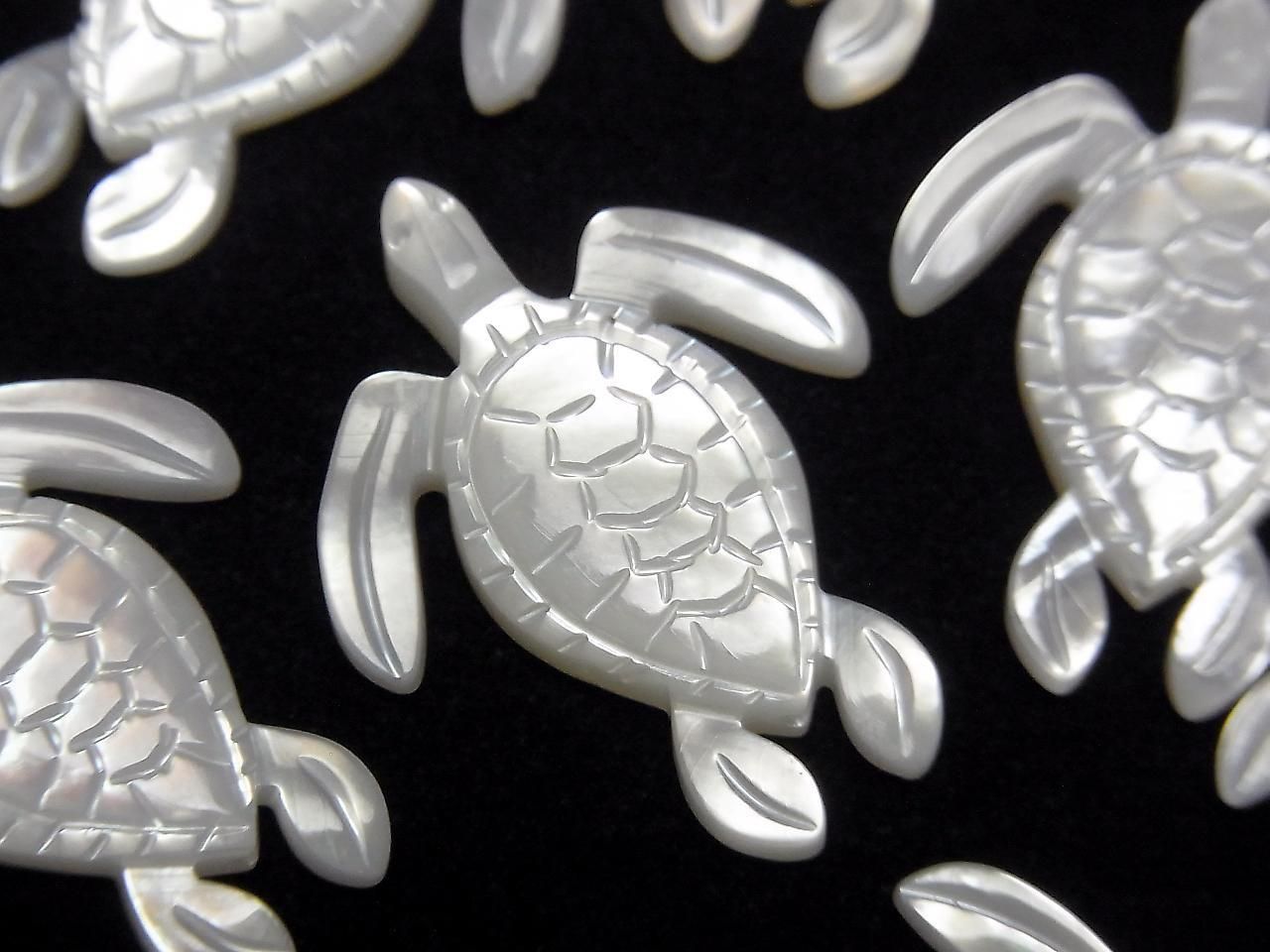 Coquillage blanc de haute qualité, forme tortue AAA 25x20x2,5mm 1 pièce
