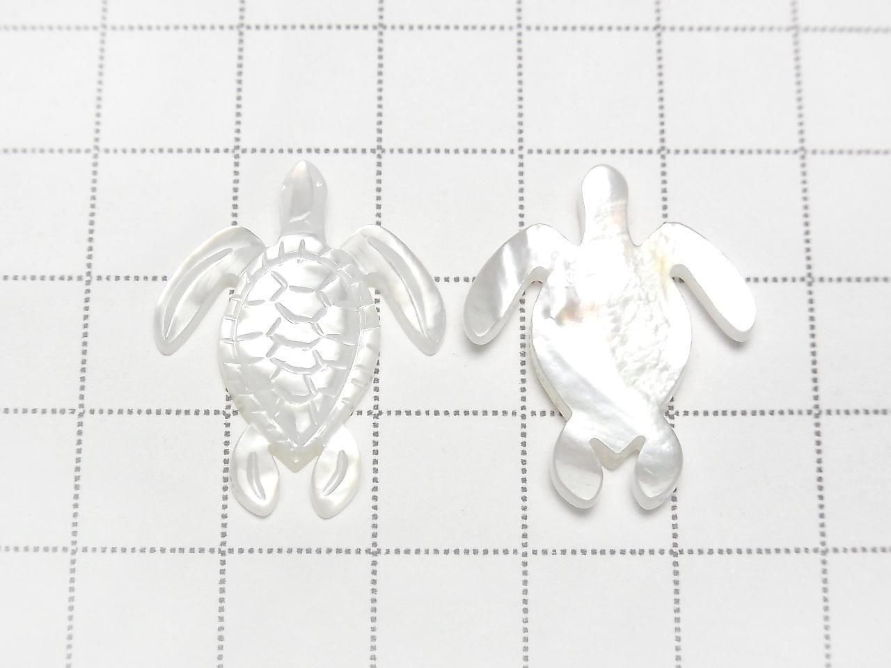 Coquillage blanc de haute qualité, forme tortue AAA 25x20x2,5mm 1 pièce