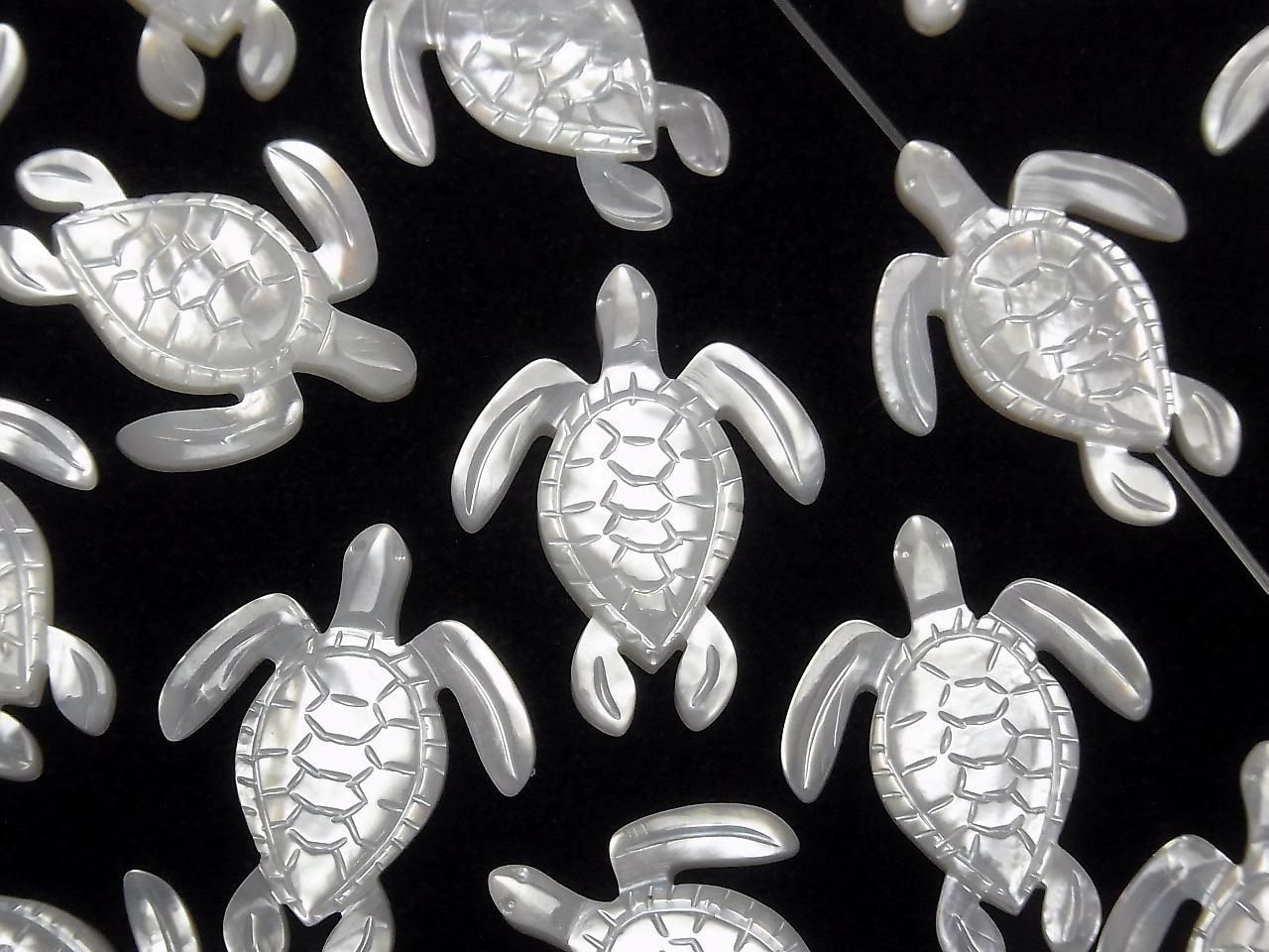 Coquillage blanc de haute qualité, forme tortue AAA 25x20x2,5mm 1 pièce