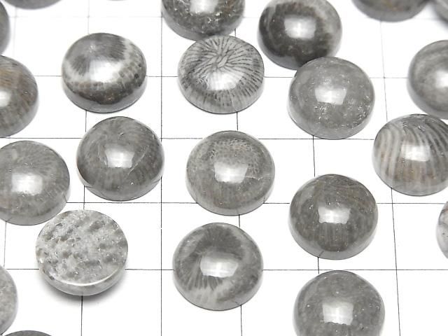 Marokkanischer schwarzer fossiler Korallenrund Cabochon 12x12mm 2 Stück